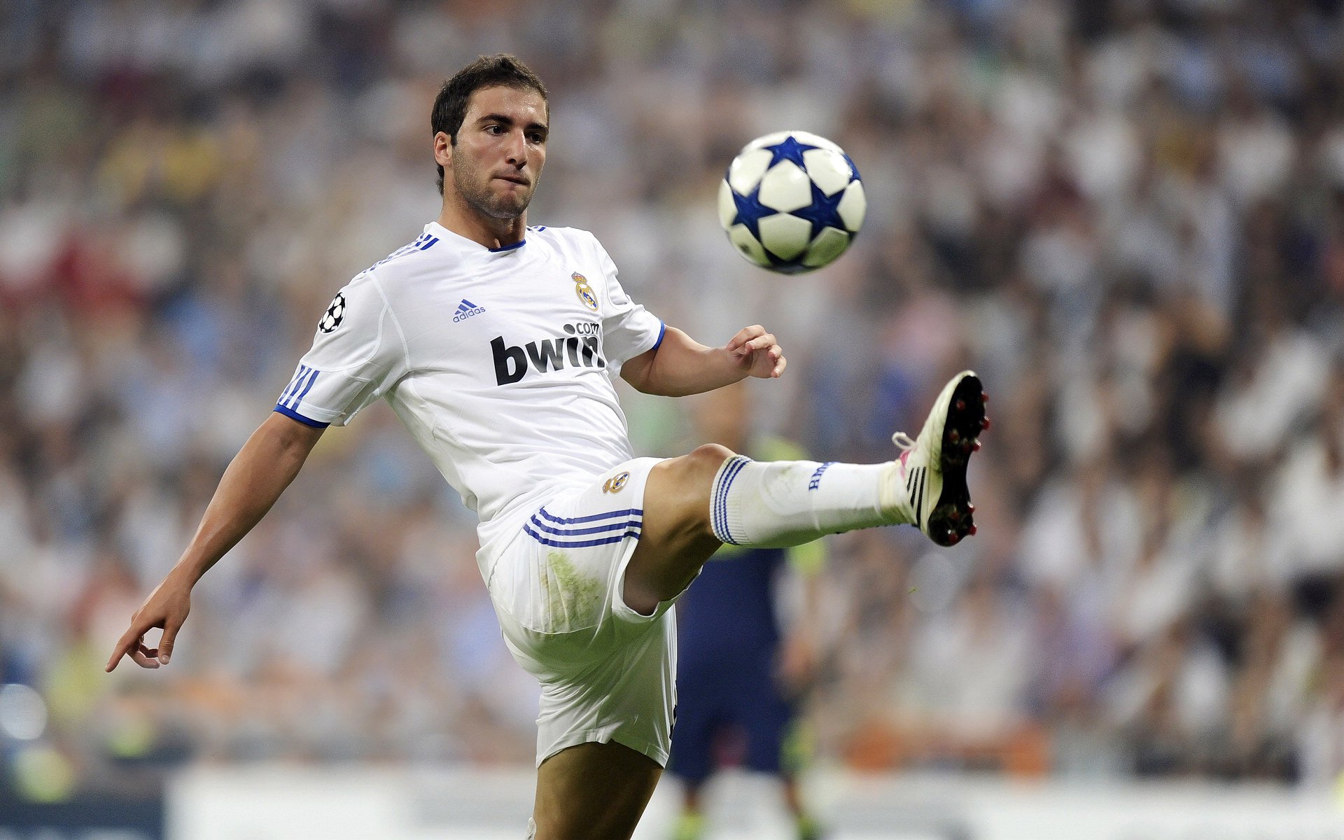 凯恩彻底打爆防线，波兰淘汰赛过关冰岛